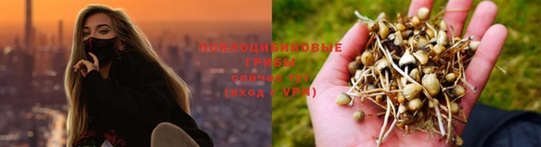 MDMA Premium VHQ Белокуриха
