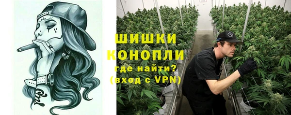 прущие грибы Белоозёрский