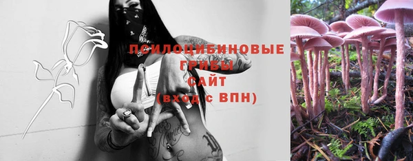 спиды Семёнов