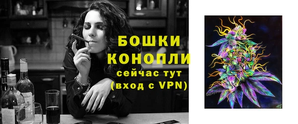 прущие грибы Белоозёрский