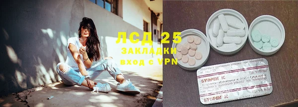 прущие грибы Белоозёрский