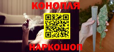спиды Гай
