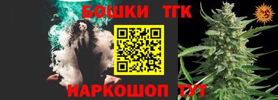 спиды Гай