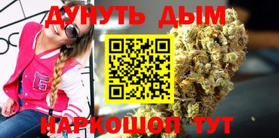 спиды Гай