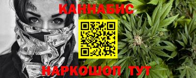 спиды Гай