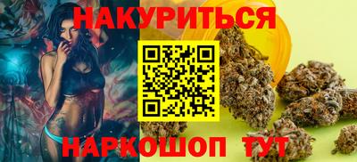 спиды Гай