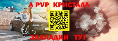 спиды Гай