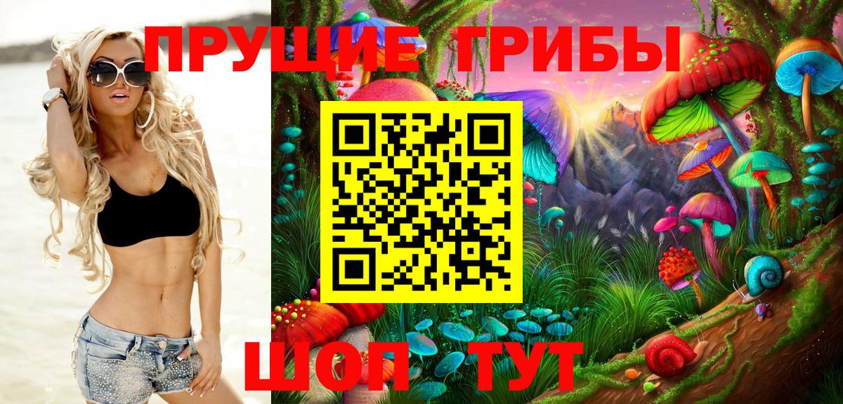 Псилоцибиновые грибы мицелий Гай