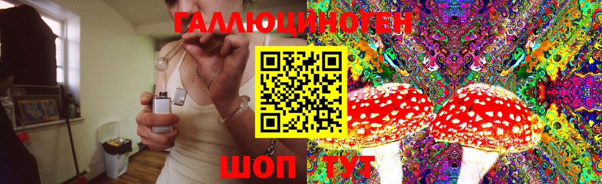 Галлюциногенные грибы прущие грибы  Галлюциногенные грибы GOLDEN TEACHER  Гай 