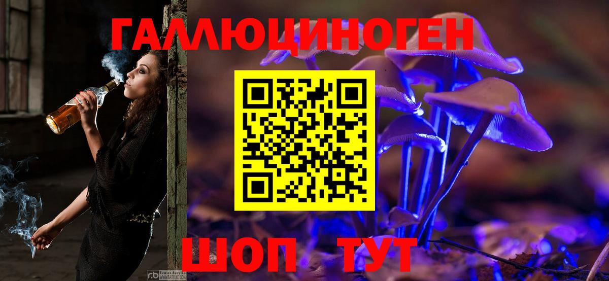 Псилоцибиновые грибы мухоморы Гай